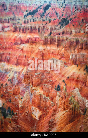 Eisen und Magnesium Oxide erstellen Diese atemberaubenden roten und violetten Farben zu den hoodoo Amphitheater in Utah Cedar Breaks National Monument. Stockfoto