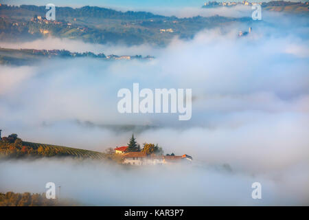 Blick von oben auf die herbstlichen Weinberge und Morgennebel, die Hügel des Piemont, Norditalien. Stockfoto