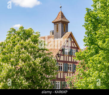 Detail einer historischen Fachwerkhaus mit kleinen Glockenturm von Bäumen in suny Ambiente umgeben Stockfoto