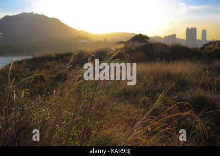 Verlassene Steinmine in der Nähe von hong kong City, Glas glüht auf der Wiese unter dem wunderschönen Sonnenuntergang Stockfoto