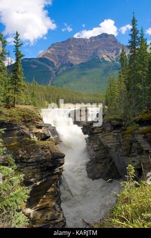 Athabasca, Athabasca Falls Stockfoto