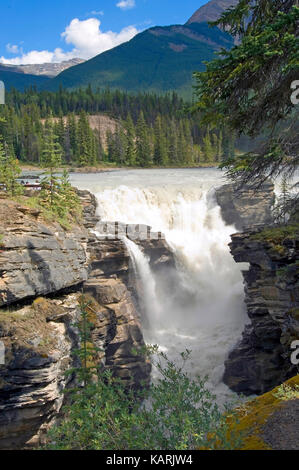 Athabasca, Athabasca Falls Stockfoto