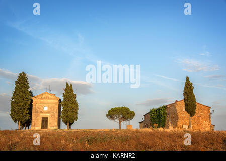 Vitaleta Kapelle, toskanischen Landschaft in der Nähe von San Quirico d'Orcia, Siena, Toskana, Italien Stockfoto