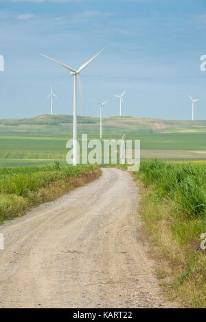 Windenergieanlagen von Dobrogea, Rumänien Stockfoto