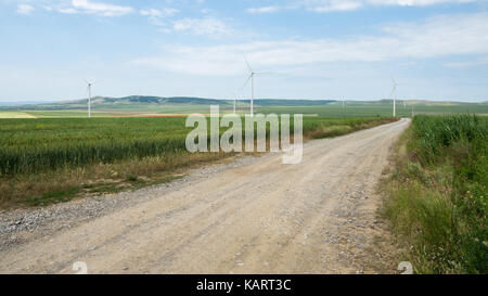 Windenergieanlagen von Dobrogea, Rumänien Stockfoto