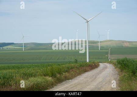 Windenergieanlagen von Dobrogea, Rumänien Stockfoto