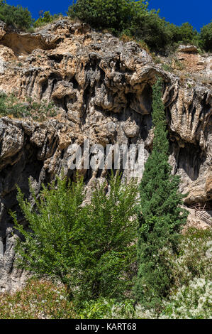 COTIGNAC, PROVENCE VERTE, VAR 83, PACA FRANKREICH Stockfoto