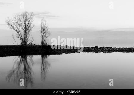 Ein symmetrischer Foto von einem See, Bäume und Wolken Reflexionen auf Wasser und sanften Farbtönen Stockfoto