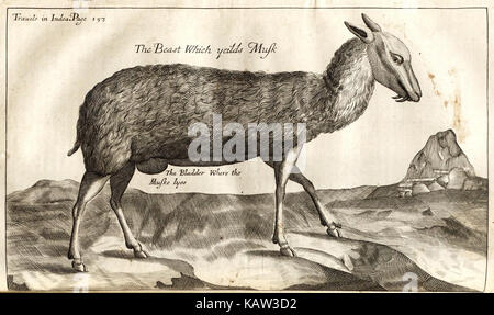 Die sechs Fahrten von John Baptista Tavernier (7361757636) Stockfoto