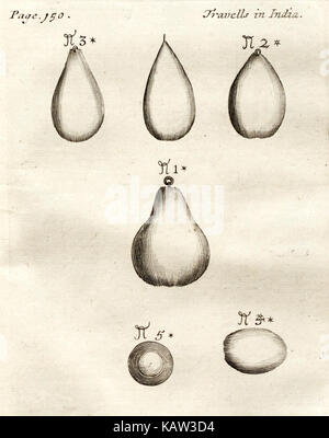 Die sechs Fahrten von John Baptista Tavernier (7176531249) Stockfoto