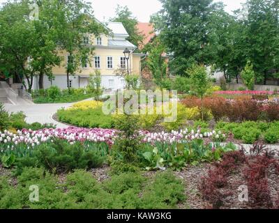 Der Innenhof, die in den administrativen Teil der Moskauer Zoo. Im Sommer ist es sehr schön ist und viele Farben. Stockfoto