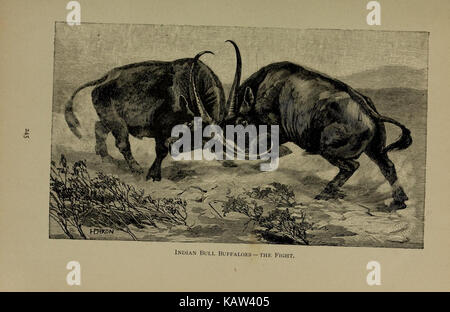 Dieser Abschnitt von *das Leben der Tiere* untersucht verschiedene Aspekte des Tierlebens, einschließlich Verhalten, Fortpflanzung und ökologische Rollen. Der Text bietet detaillierte Einblicke in die biologischen Funktionen und die Bedeutung von Tieren in Ökosystemen. Stockfoto