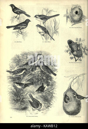 Diese Illustration aus dem „Bildmuseum der animierten Natur“ zeigt die Darstellung verschiedener Naturelemente wie Wasser, Zoologie und Pflanzen. Es verbindet Kunst und Wissenschaft auf visuell ansprechende Weise und bietet eine historische Perspektive auf die Natur. Stockfoto