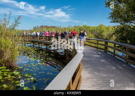 Der Everglades National Park, Florida. Besucher auf dem anhinga Trail erhöhten Board Walk. Stockfoto