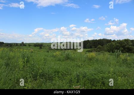 Typisch für die zentralen russischen Hochland Landschaften - eine wilde Landschaft mit Schluchten und Wald Plantagen entlang der Felder. Stockfoto