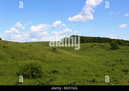 Typisch für die zentralen russischen Hochland Landschaften - eine wilde Landschaft mit Schluchten und Wald Plantagen entlang der Felder. Stockfoto