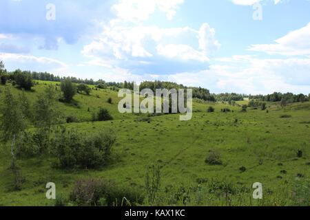 Typisch für die zentralen russischen Hochland Landschaften - eine wilde Landschaft mit Schluchten und Wald Plantagen entlang der Felder. Stockfoto