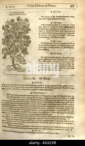 Dies bezieht sich auf eine Seite aus „The Herball, oder, Generall Historie of Plantes“, einem wichtigen botanischen Werk. Seite 387 enthält wahrscheinlich Beschreibungen oder Abbildungen von Pflanzenarten, die zu frühen botanischen Studien beitragen. Stockfoto