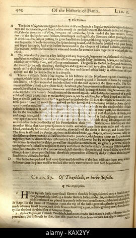 „The Herball, Or, Generall Historie of Plantes“, geschrieben von John Gerard, ist ein wichtiges botanisches Werk. Seite 402 enthält Beschreibungen verschiedener Pflanzen, die sich wahrscheinlich auf ihre medizinische oder landwirtschaftliche Verwendung konzentrieren. Stockfoto