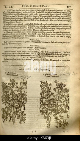 Der „Herball“ oder „Generall Historie of Plantes“ ist ein wichtiges botanisches Werk, das detaillierte Beschreibungen verschiedener Pflanzenarten, ihrer medizinischen Verwendung und ihrer Eigenschaften liefert. Der Text ist eine grundlegende Ressource in der Geschichte der Botanik und der Kräutermedizin. Stockfoto
