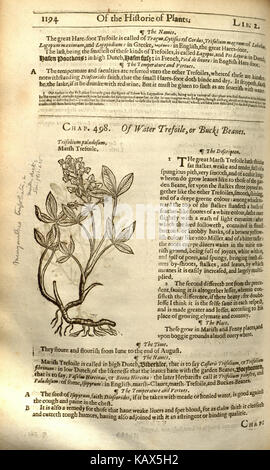 Seite 1196 aus „The Herball, Or, Generall Historie of Plantes“, einem botanischen Werk, das Pflanzenarten und ihre Verwendung beschreibt. Diese Seite enthält wichtige historische Informationen über Pflanzen, ihre medizinischen Eigenschaften oder ihre Rolle in der Kultur. Es bietet wertvolle Einblicke in frühe botanische Kenntnisse. Stockfoto