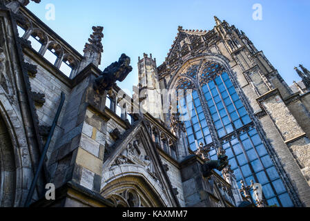 Gargoyles auf dem gotischen Dom Kerk, Utrecht Niederlande Stockfoto