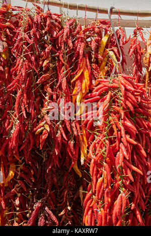 Ein Strauß roter Chili peppers auf dem Lebensmittelmarkt in Italien Stockfoto