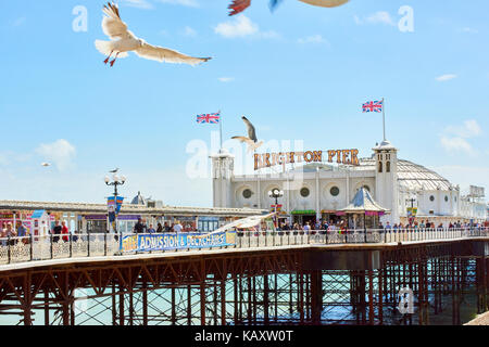 Eine Möwe fliegt vor Brighton Pier Eingang. Stockfoto