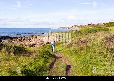 Ein Wanderer auf der Fife Coastal Path zwischen Anstruther und Pittenweem, Fife, Schottland Großbritannien Stockfoto