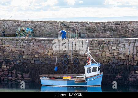 Ein hummerfischer sein Boot vorbereiten, bevor Sie von Crail Hafen, Fife, Schottland Großbritannien Stockfoto