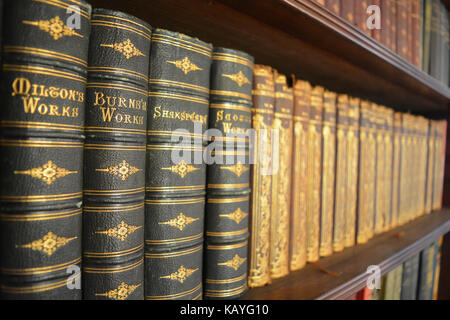 Antike Bücher auf einem Regal in einem Bücherregal Stockfoto