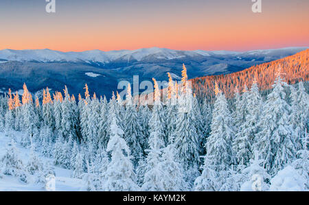 Geheimnisvolle Winterlandschaft majestätische Berge im Winter. Magischen winter schnee Baum. Winter in den Bergen. In Vorfreude auf den Urlaub. Dramatische winterliche Szene. Karpaten. Die Ukraine Stockfoto