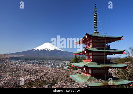 Japan, Pagode im arakura sengen Shrine, Kirschblüten und Mount Fuji, Stockfoto