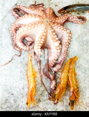 Ansicht von oben, Tintenfisch, Garnelen und Fisch auf Eis Stockfoto