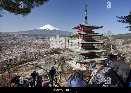 Japan, Pagode im arakura sengen Shrine, Kirschblüten und Mount Fuji, Fotograf, Stockfoto