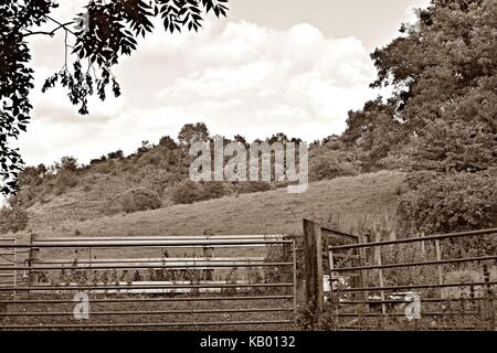 Wiliam Docherty ging ich um twechar. Was ist ein kleines Bergbau Dorf im East Dunbartonshire in Schottland. Stockfoto