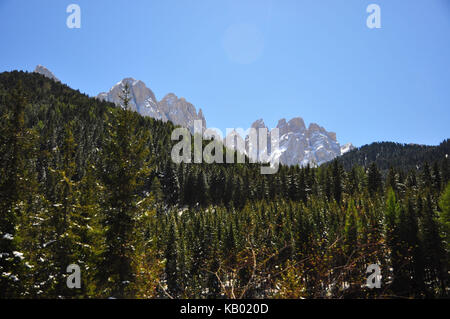 Italien, Südtirol, Villnösstal (Val di Funes), Bergwald, die Dolomiten, Stockfoto