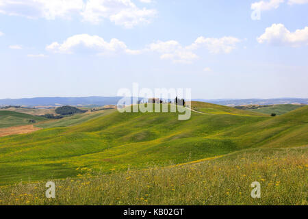 Italien, typische Landschaft in der Toskana, Crete senesi, Stockfoto