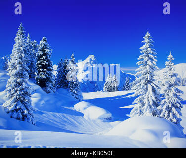 Winterlandschaft im Hochtann, Stockfoto