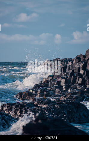 Der Giant's Causeway, County Antrim, Nordirland Stockfoto
