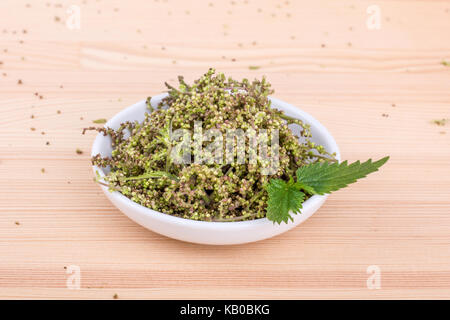 Schüssel mit frischem Brennnesselsamen und Brennnessel Blätter Stockfoto