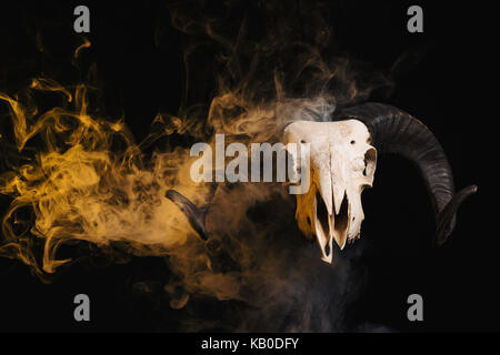 Ram-Schädel mit Hörner und gelben Rauch, Halloween Theme Stockfoto