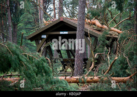 Zerstört Rastplatz und umgestürzte Bäume im Wald durch extrem hohe Windgeschwindigkeit bei Sturm vor ein paar Tagen in Legbad, Polen, 16. August 2017 © Stockfoto