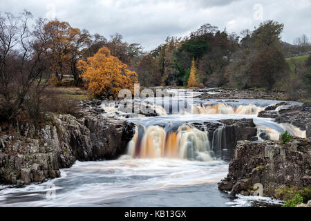 Geringe Kraft auf dem Fluss-T-Stücke im Herbst, Bowlees, Obere Teesdale, County Durham, UK Stockfoto