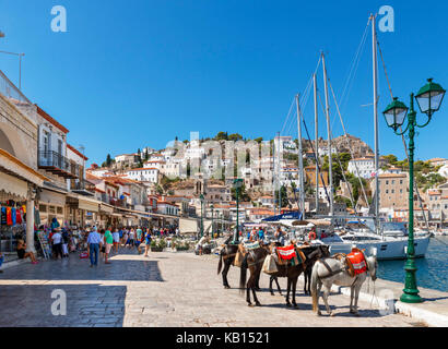 Der Hafen von Hydra, Griechenland, Saronische Inseln Stockfoto