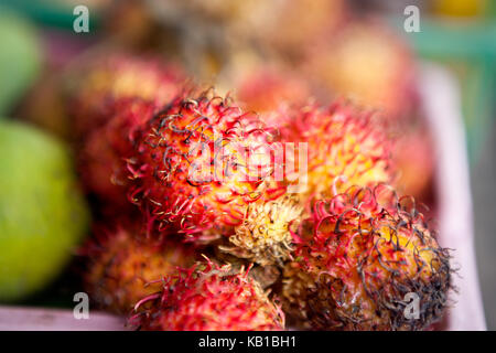 Tropische Früchte, rambutan am Markt auf Bali Stockfoto