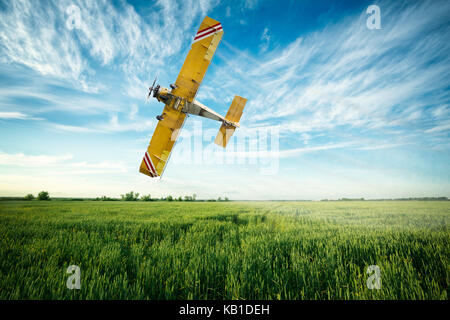 Crop duster Flugzeug fliegt tief über ein Weizenfeld spritzen Fungizide und Pestizide Stockfoto