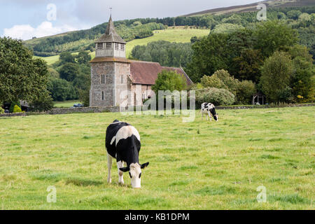 Holstein friesische Rinder und Bitterley Kirche in der Nähe von Ludlow, Shropshire, England, Großbritannien Stockfoto