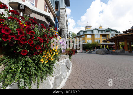 Sommer Blumen und Restaurants machen eine bunte Szene in Whistler, Whistler, BC, Kanada. Stockfoto