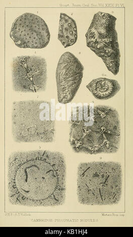 Die Zeitschrift der Geological Society of London (13369126764) Stockfoto